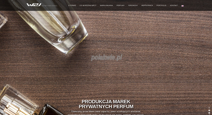 WPJ International
